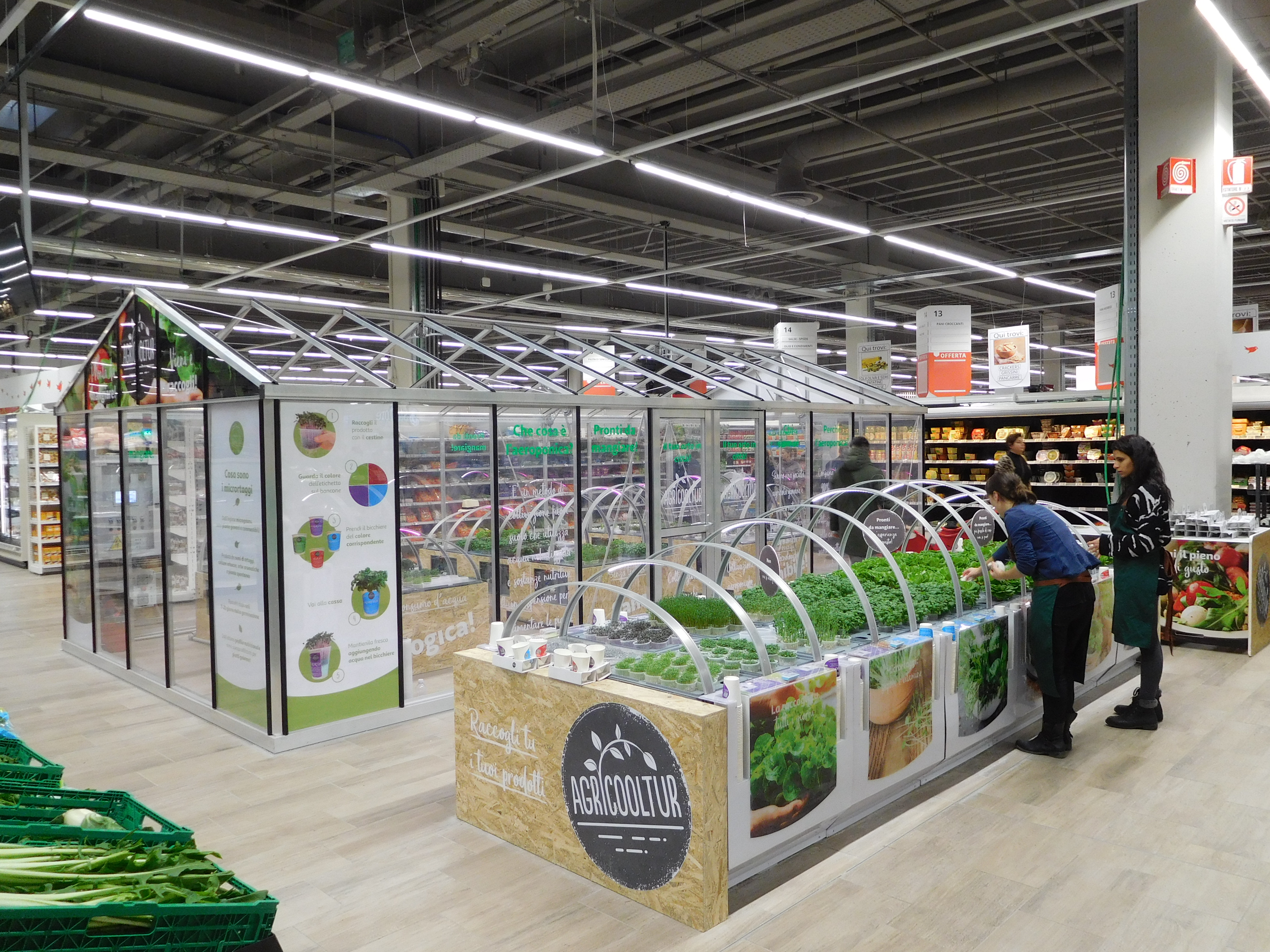 Auchan_serra_Agricooltur