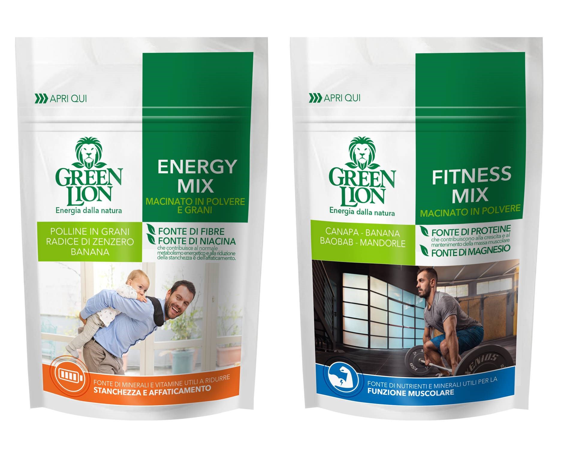 Green Lion_Eurocompany_energy_mix
