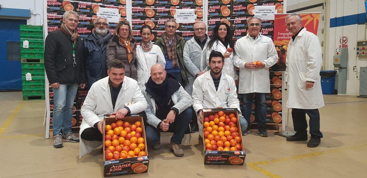 Oranfrizer arance Cina