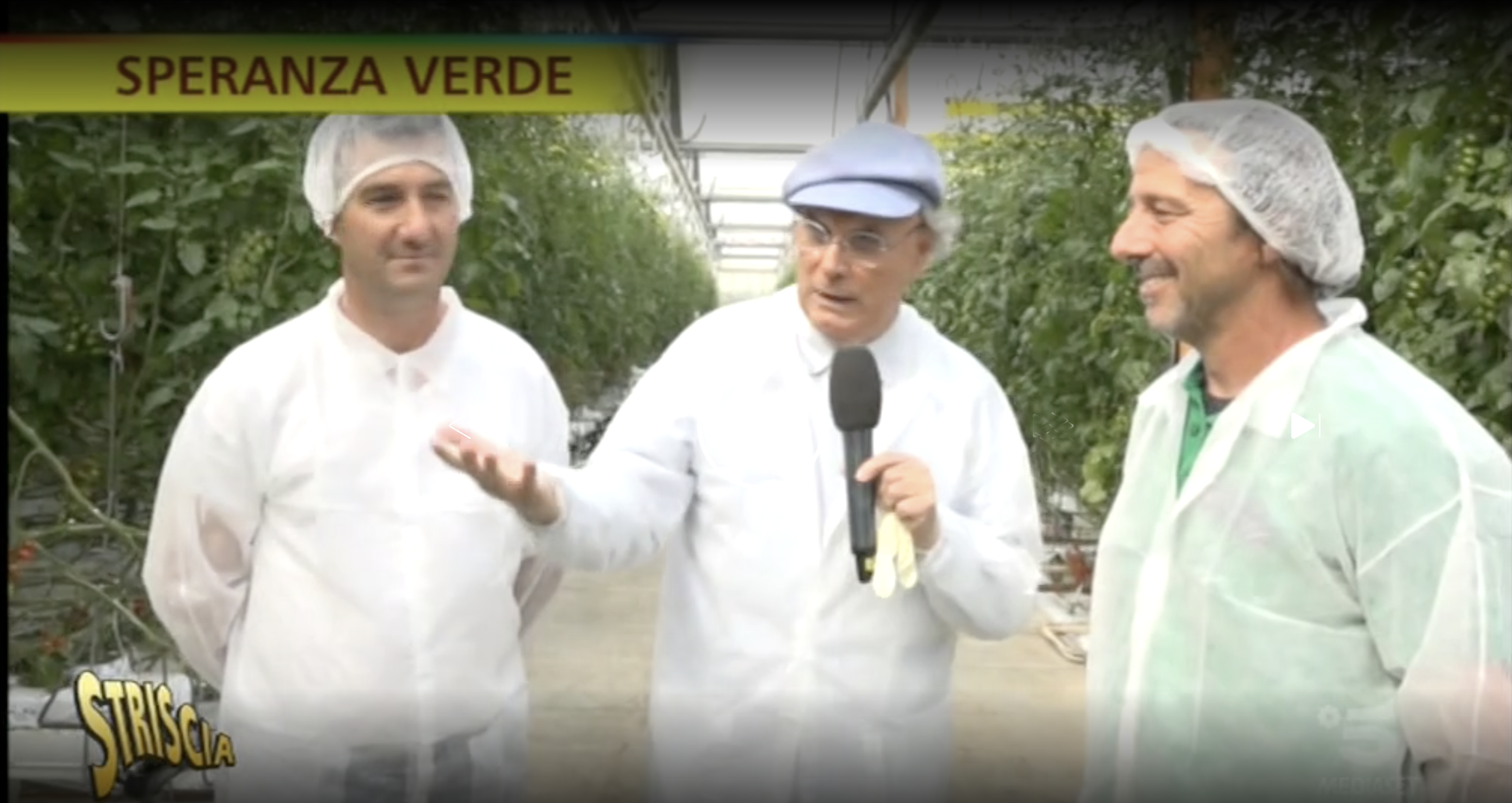 azienda_lapietra_striscia_la_notizia_pomodori