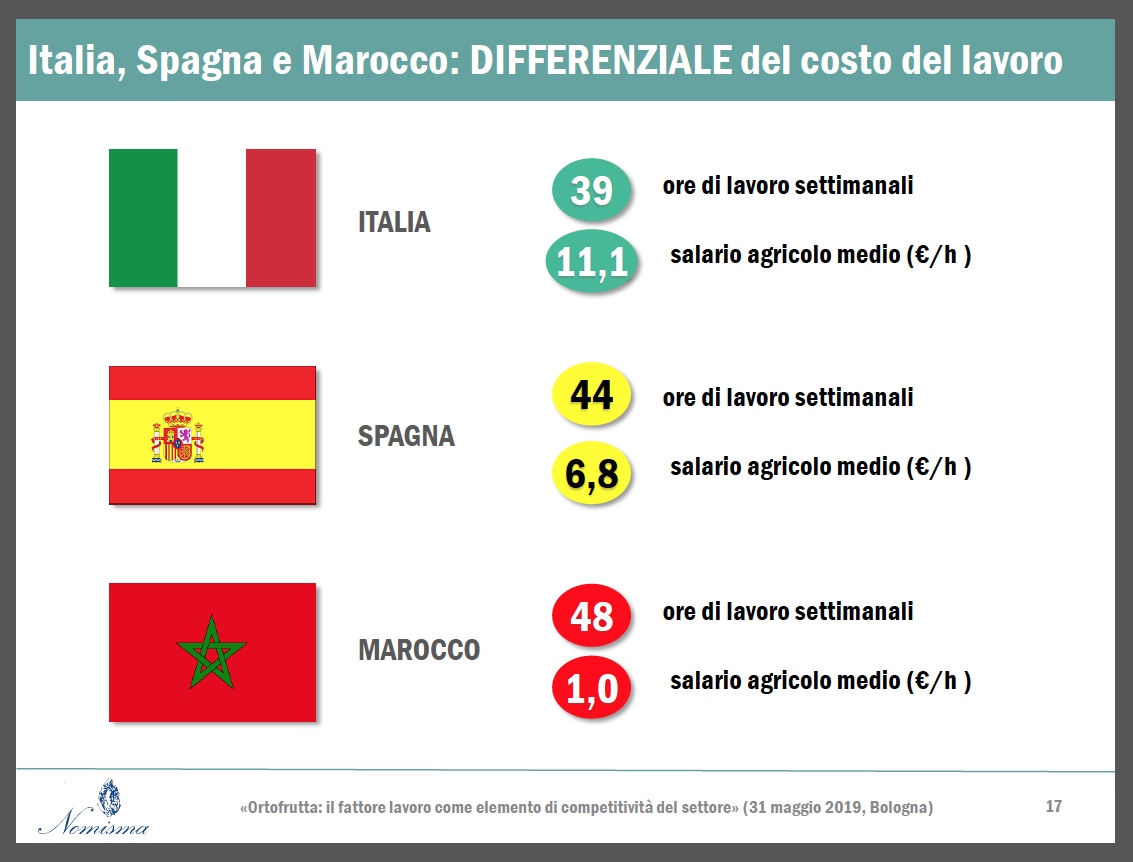 Nomisma-Itallia-Ortofrutta-IT-SP-MA-paga-oraria-31-0519
