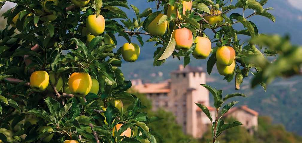 Pomaria