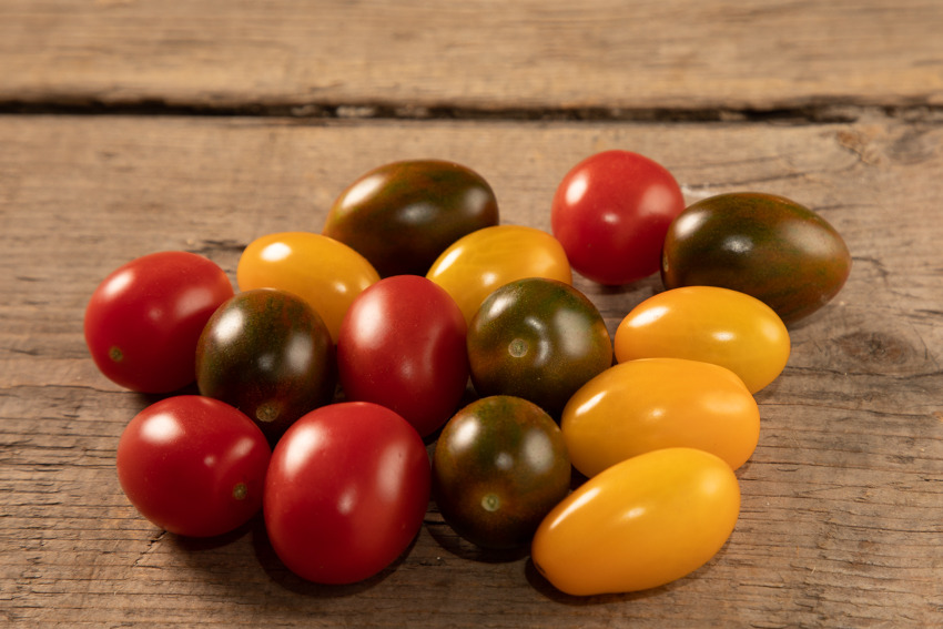 Gandini-datterini-colorati