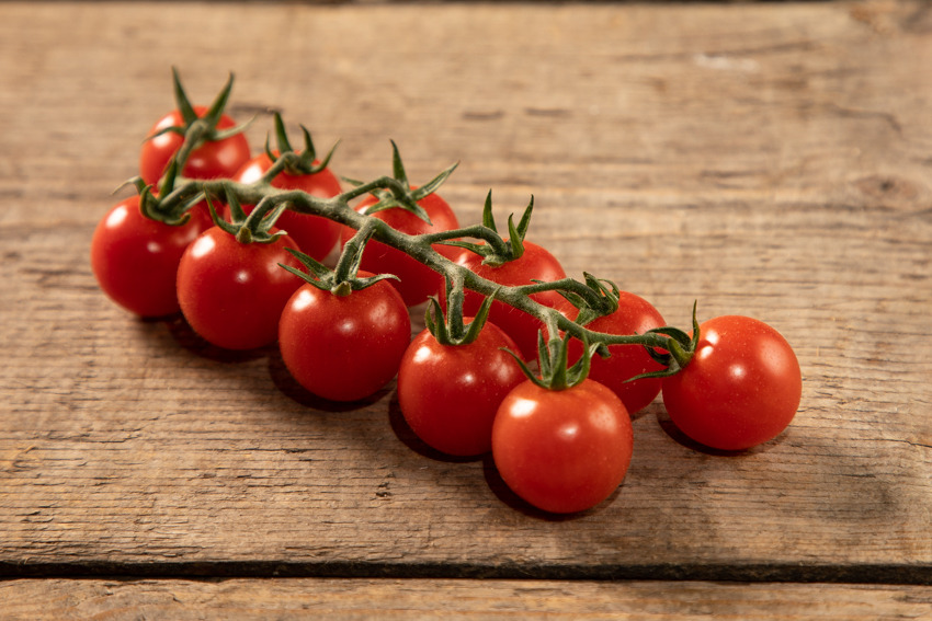 Gandini-pomodoro-ciliergino