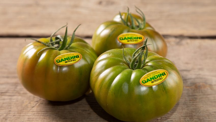 Gandini-pomodoro-costoluto