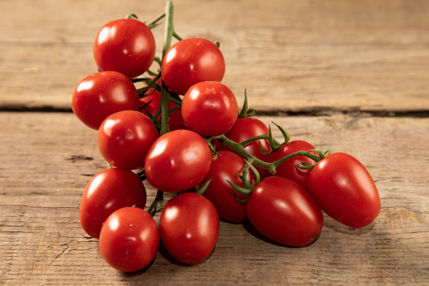 Gandini-pomodoro-mini-plum