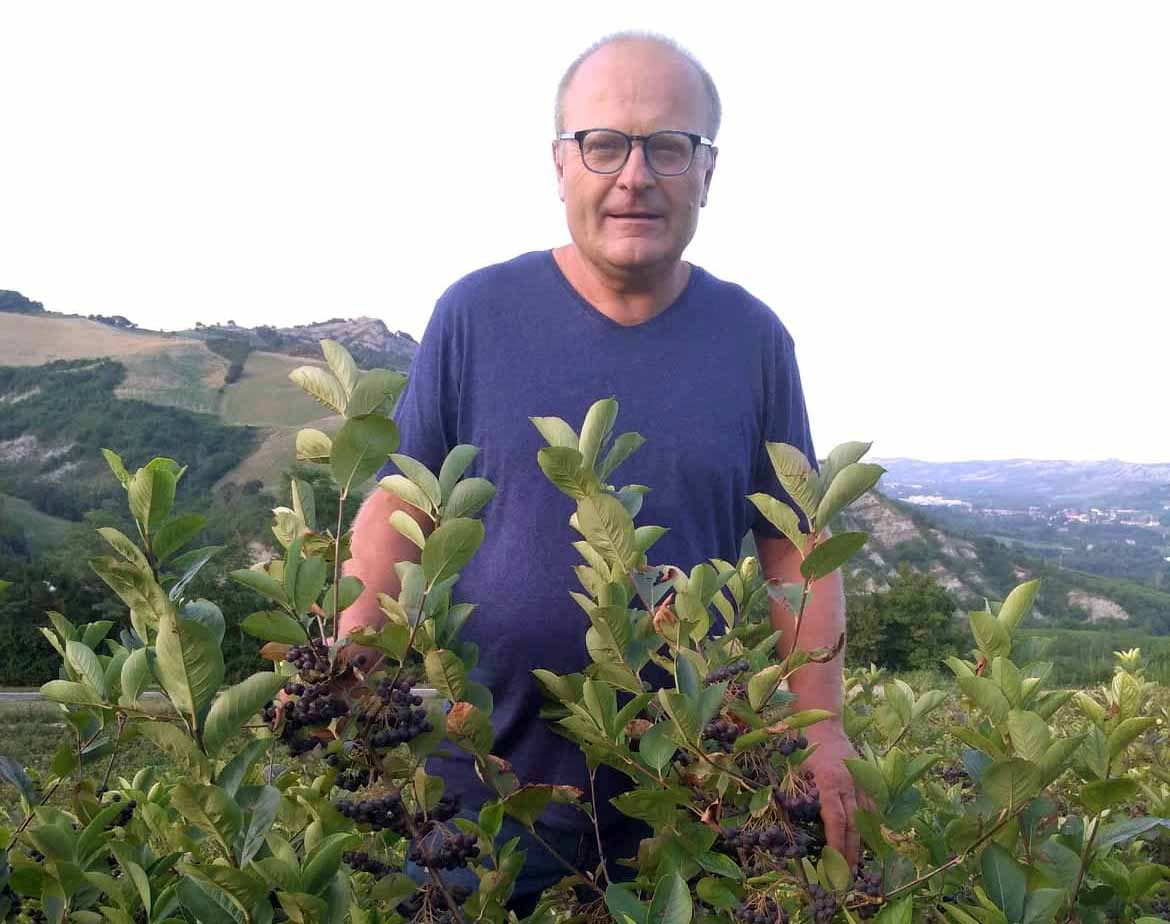 Aronia Azienda Martelli