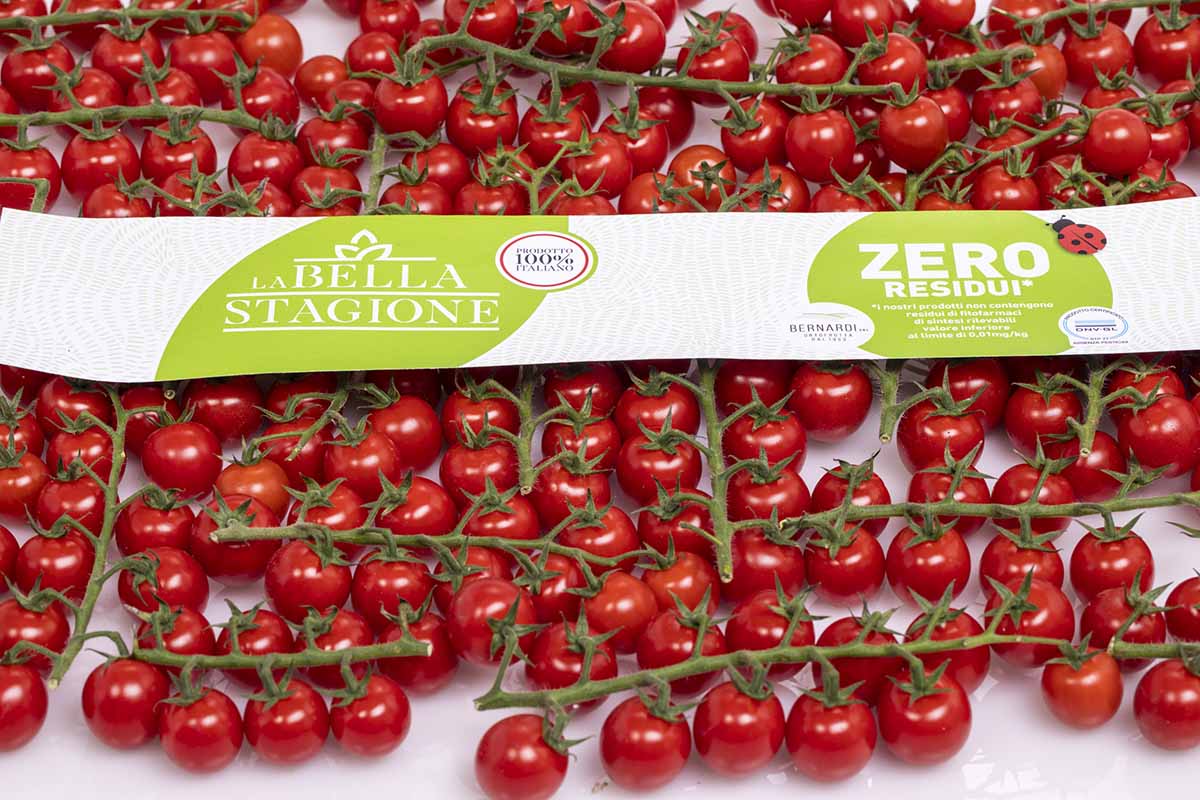 residuo zero Linea La Bella Stagione