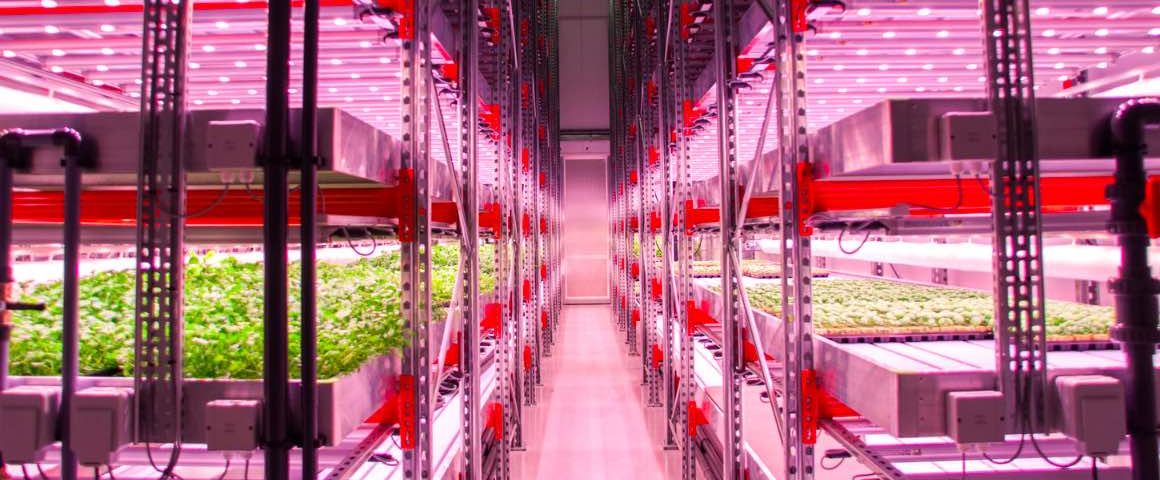 Vertical farm