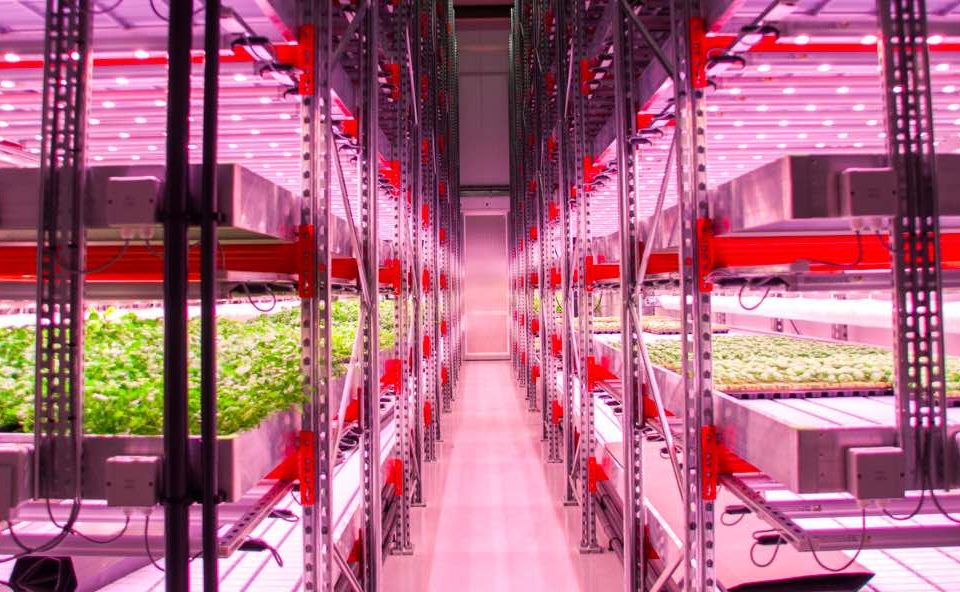 Vertical farm