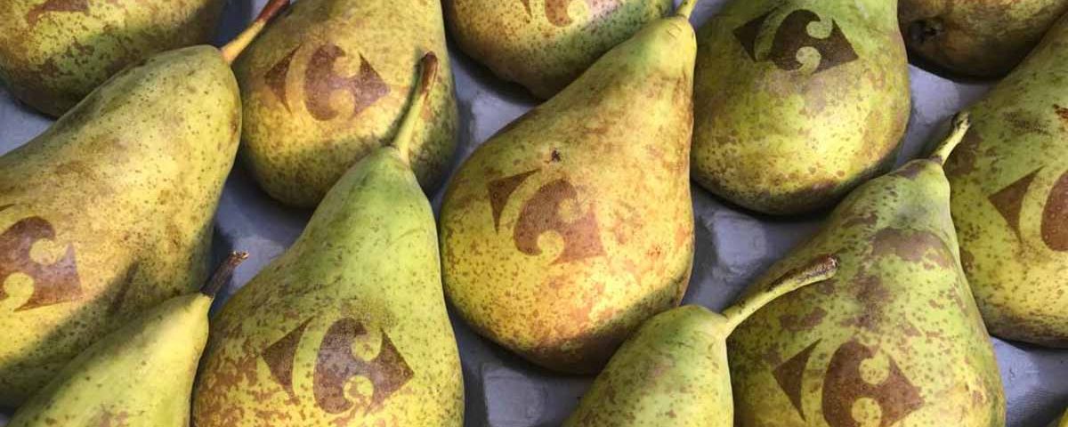 natural Branding_Pere Carreffour