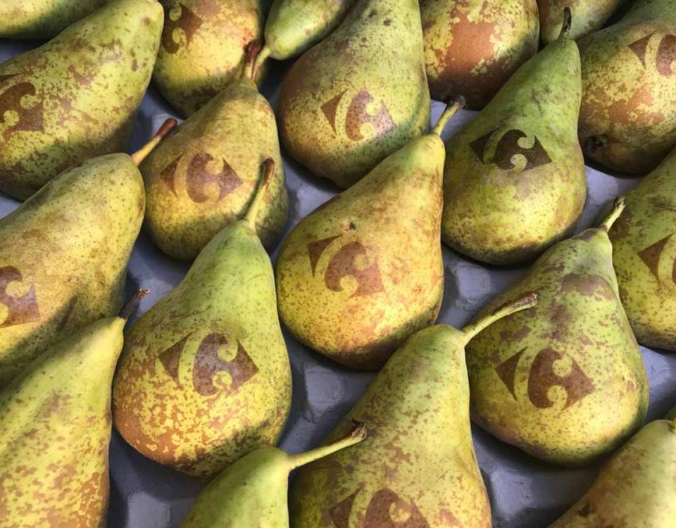 natural Branding_Pere Carreffour