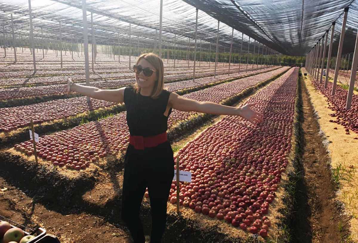 'ortofrutta serena pittella donne dell'ortofrutta serena pittella