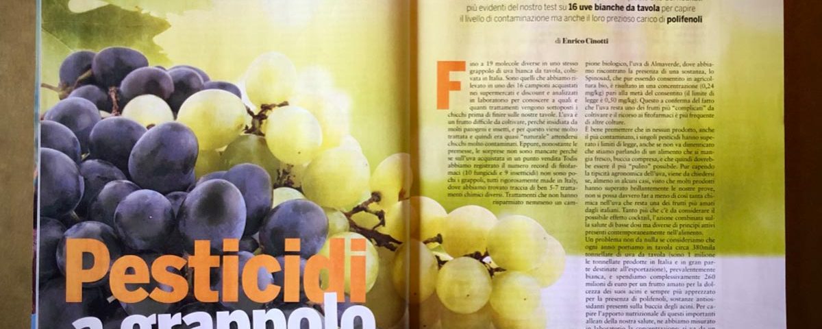 Il-Salvagente-11-2019-uva-lato-oscuro
