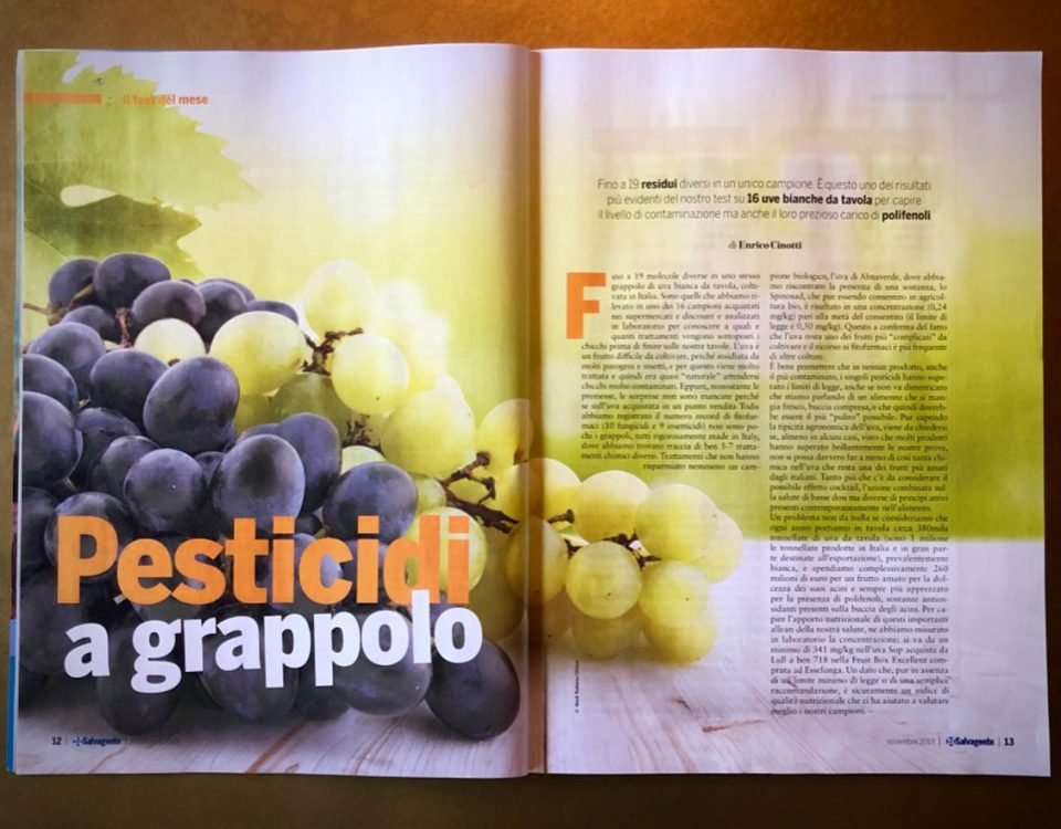 Il-Salvagente-11-2019-uva-lato-oscuro