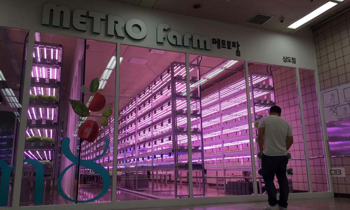 Metro Farm
