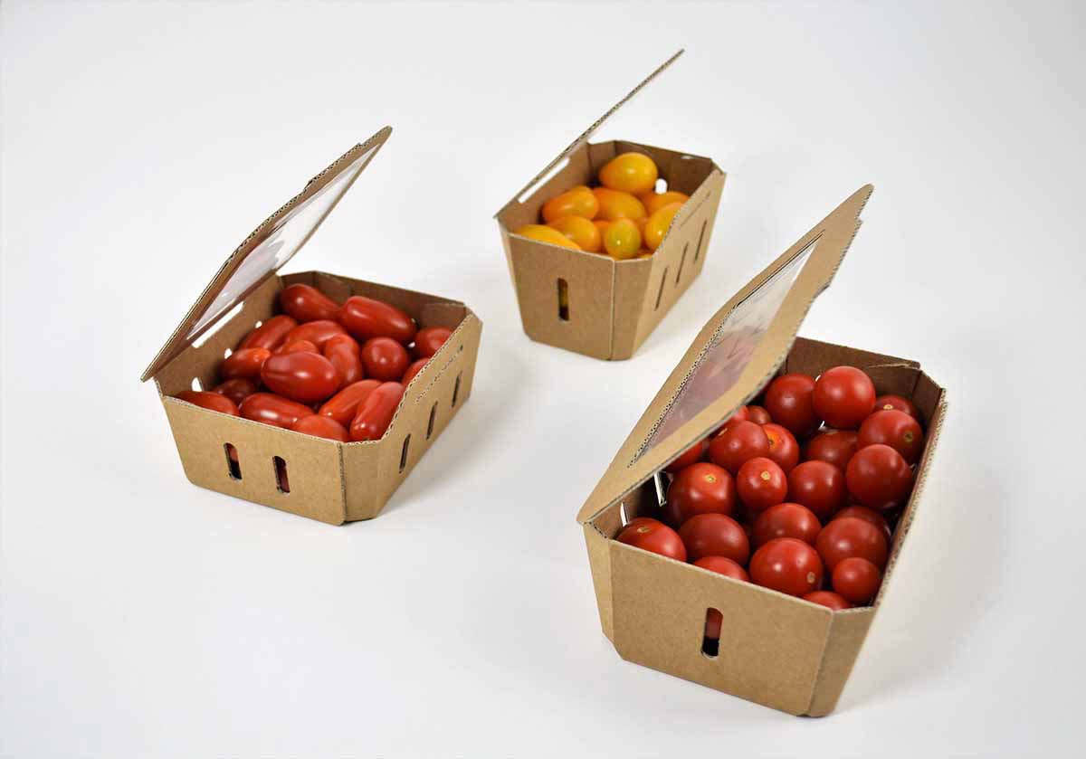 Carton Pack