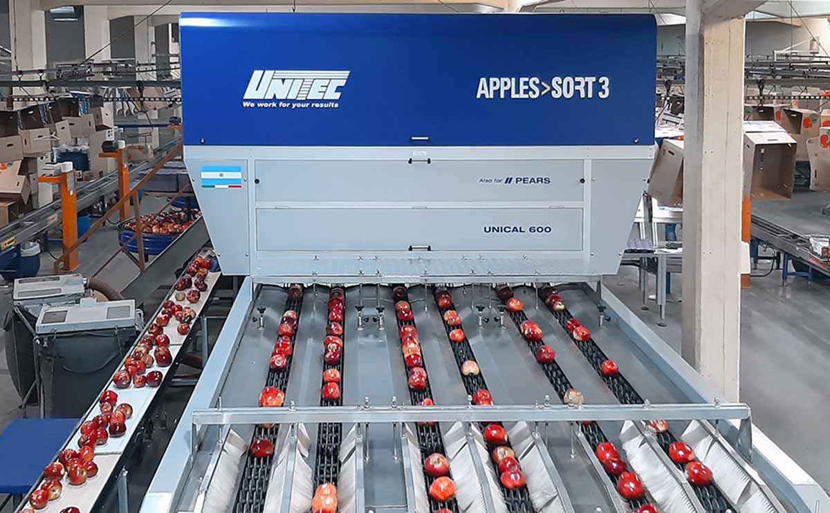 Unitec Apples Sort 3