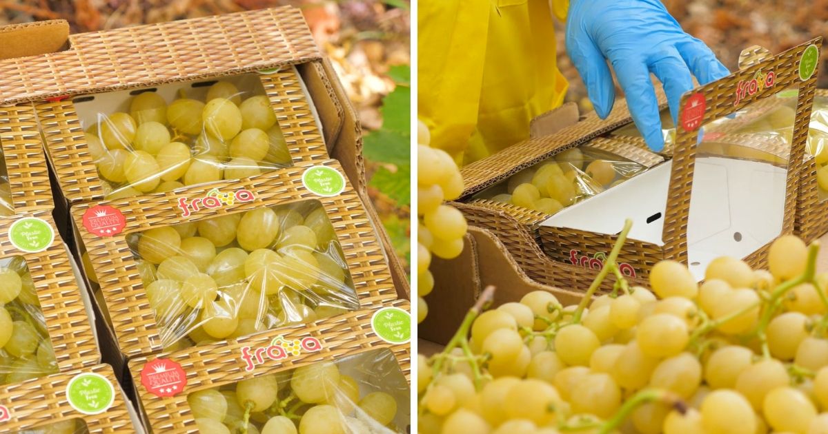 Fra.Va plastic free