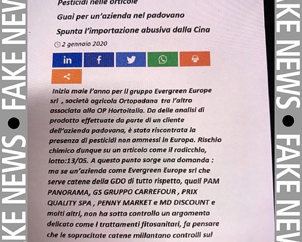 FAKE-NEWS-Fm-Evergreen-Europe-L