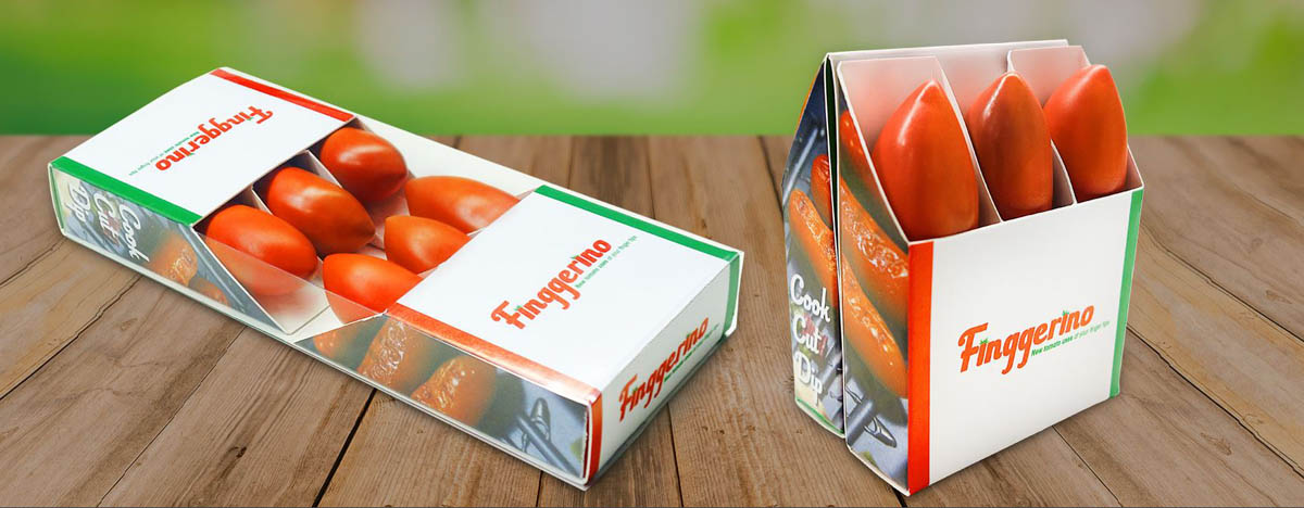Fitó Foodture