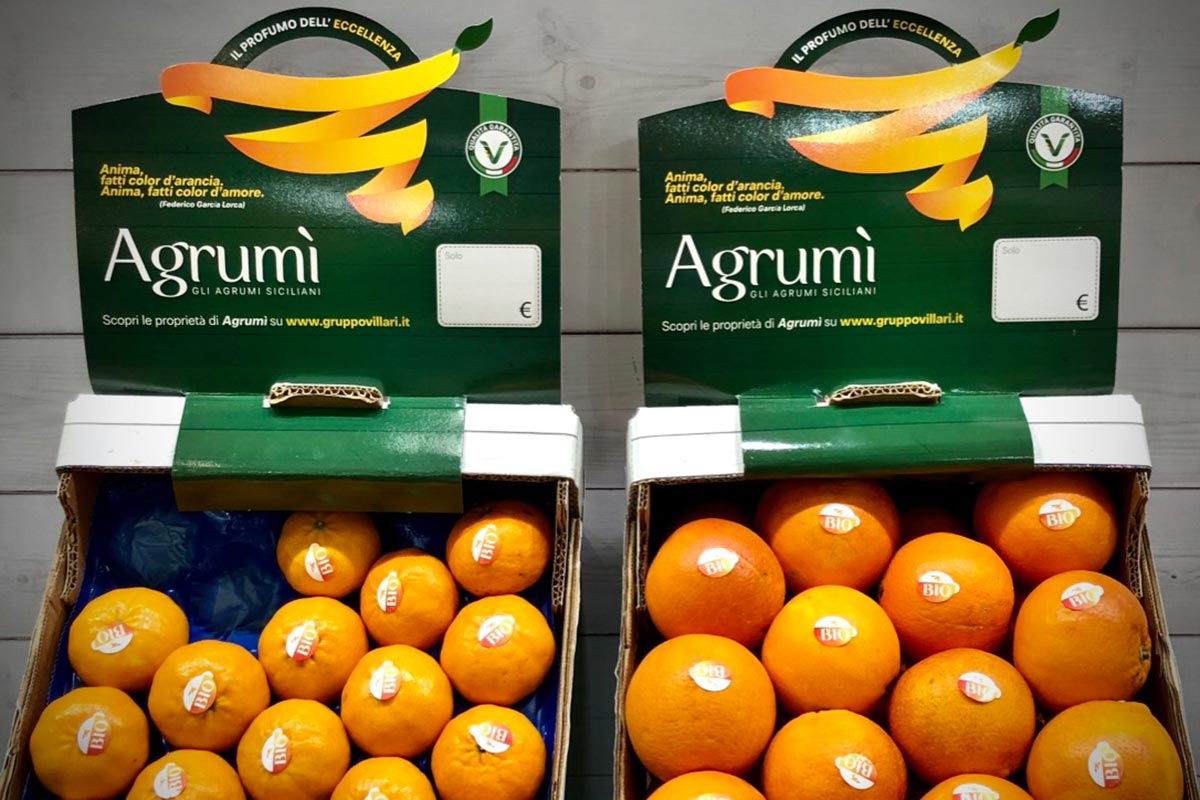Villari-Agrumi-Fruit-Logistica-2020