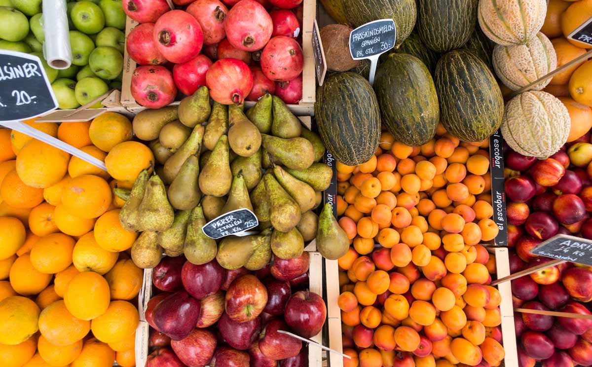 export ortofrutta