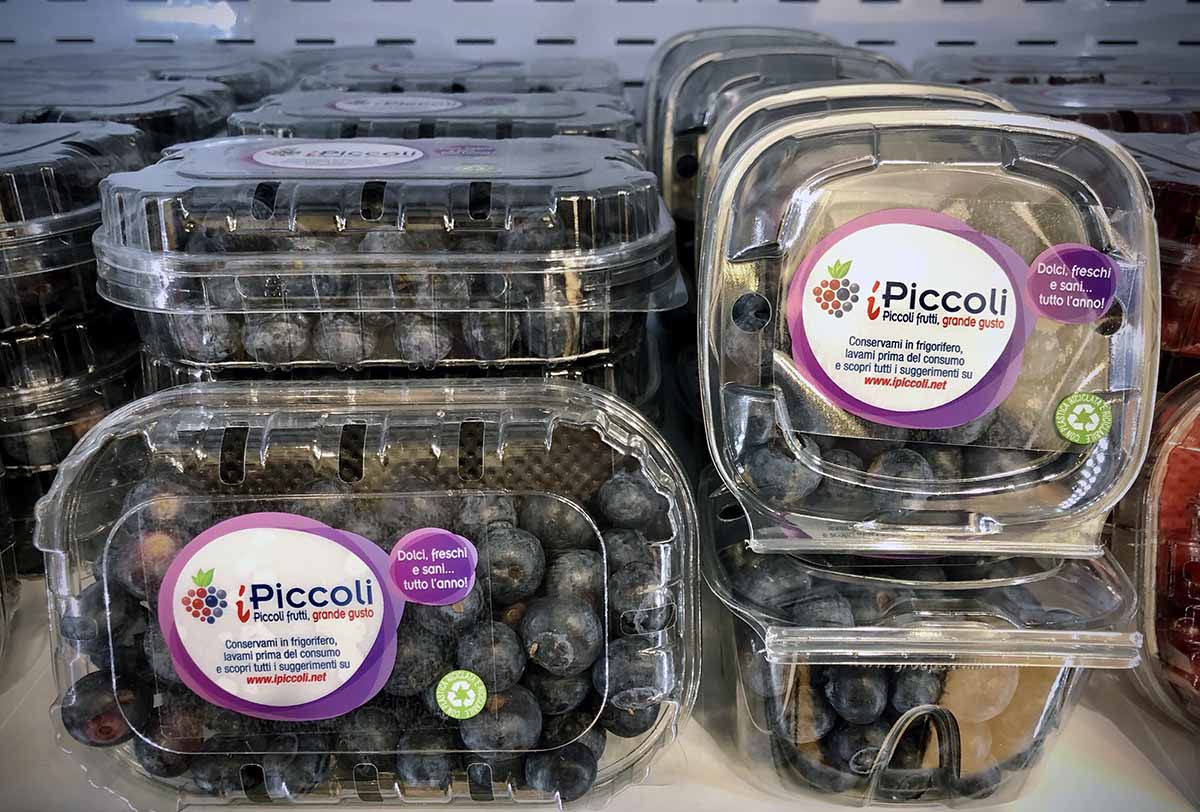 Spreafico Fruit Logistica 2020 ©FM