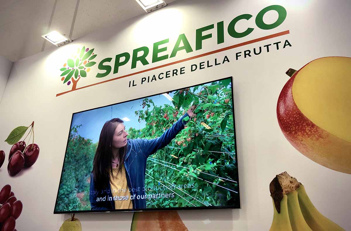 spreafico_fruit_logistica-2020_©FM