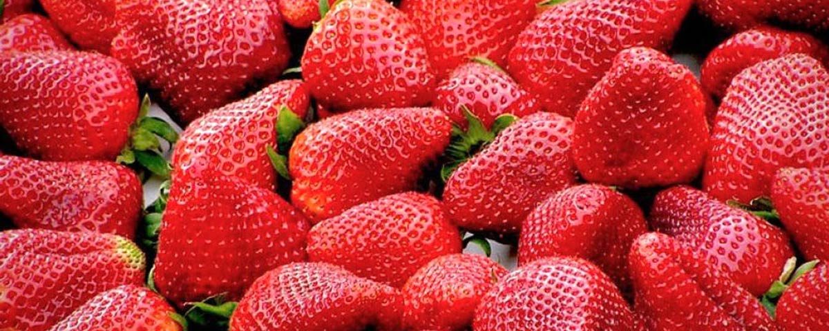 Fragole-Candonga-Basilicata