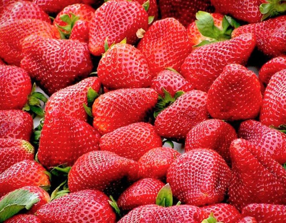 Fragole-Candonga-Basilicata
