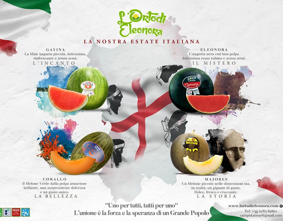 L-Orto-di-Eleonora-campagna-estate-2020-campidanese