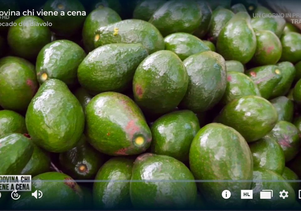 L-avocado-del-diavolo-McGarlet