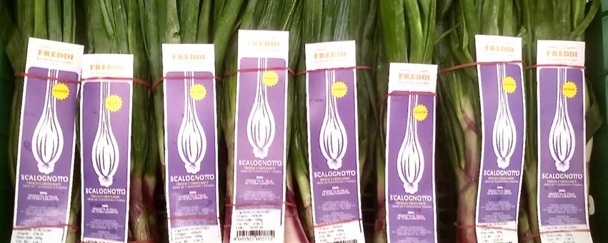 Scalognotto-Freddi-Ortofrutticoli