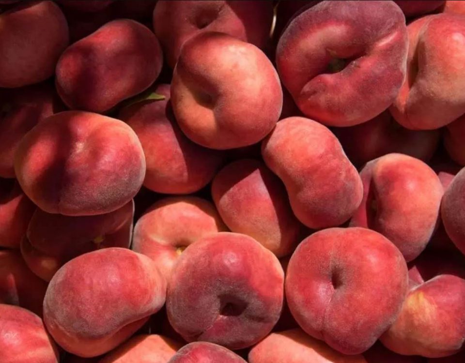pesche piatte