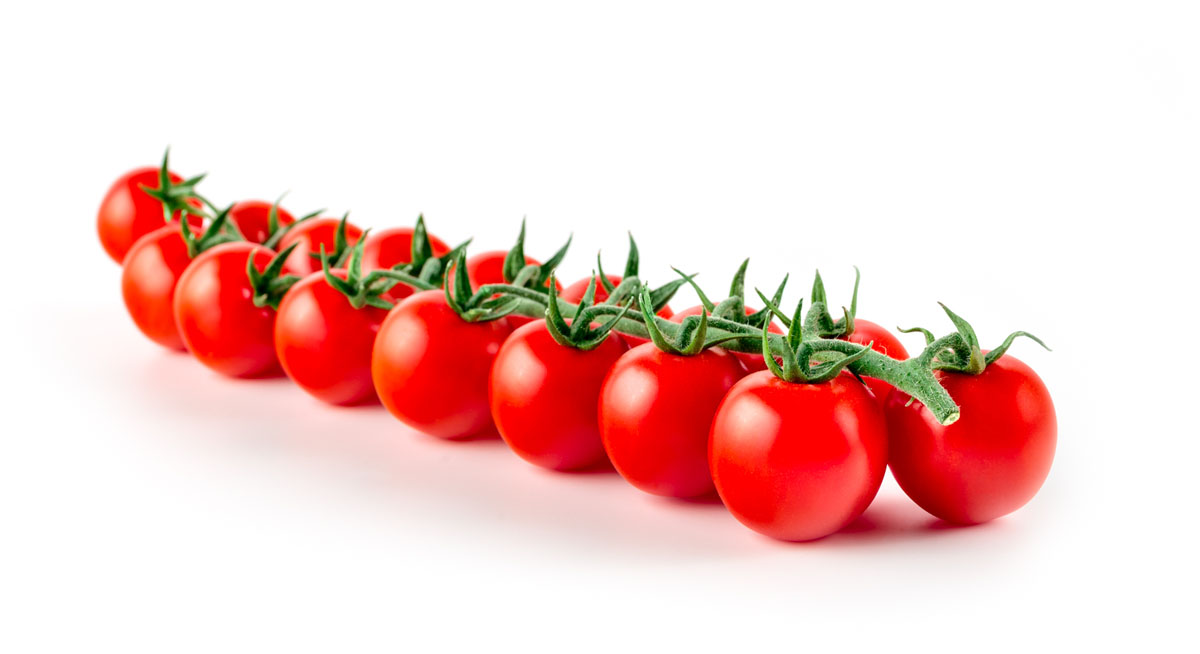 Syngenta Cherye