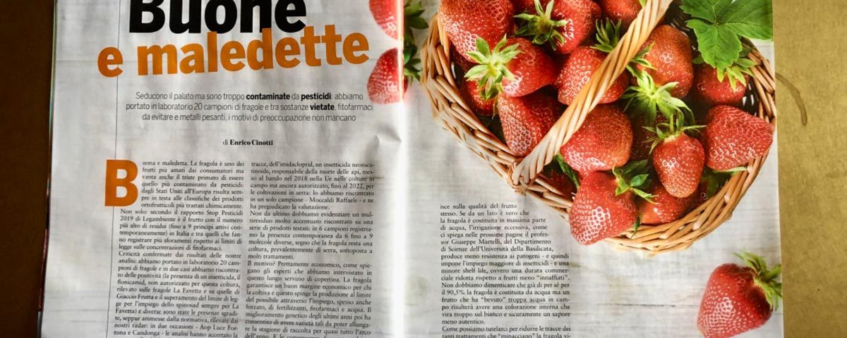 Il-Salvagente-fragole-maledette-06-2020