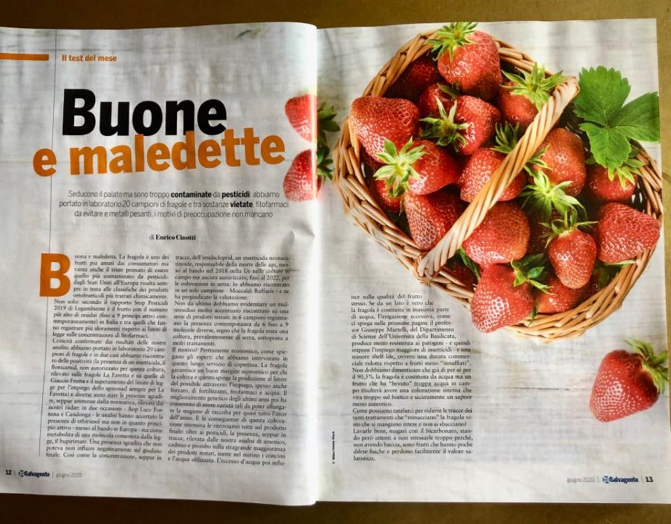 Il-Salvagente-fragole-maledette-06-2020