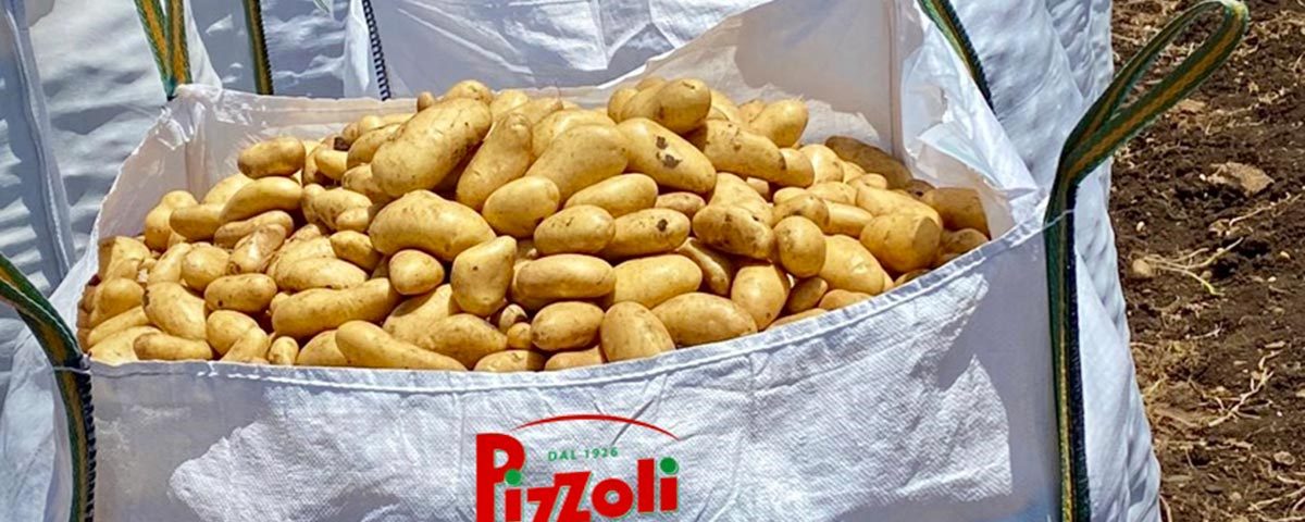 Pizzoli-patate-novelle-Soprano