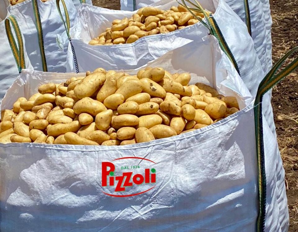 Pizzoli-patate-novelle-Soprano
