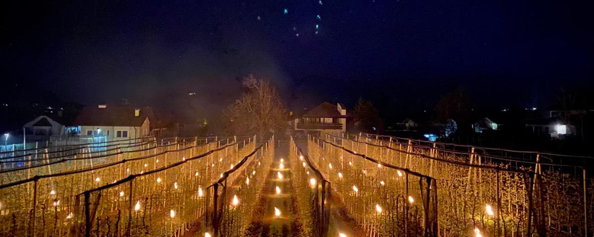 VOG-mele-candele-gelate-Alto-Adige