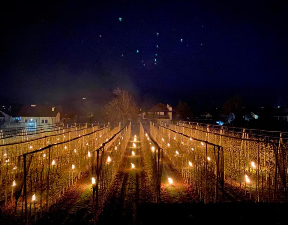 VOG-mele-candele-gelate-Alto-Adige
