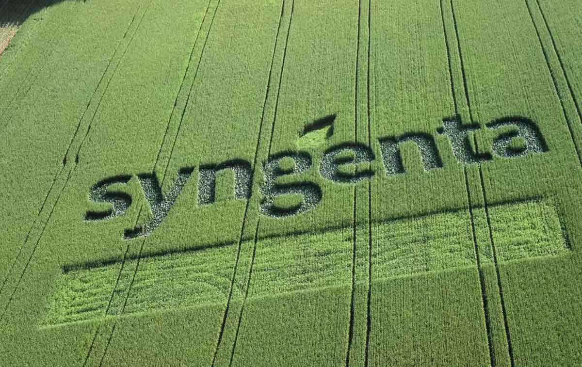 syngenta