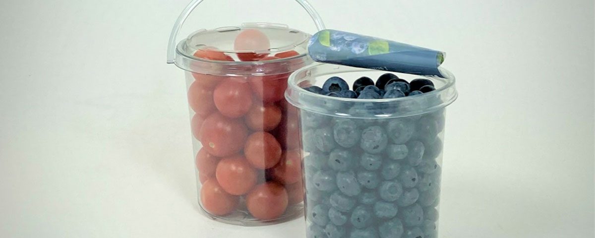 Carton-Pack-Bucket-rPET