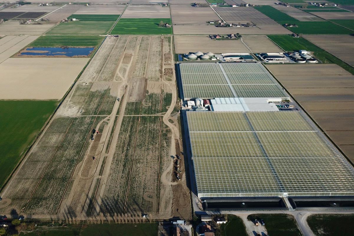 Fri-el-Ostellato-serre-tecnologiche-scavi-2020