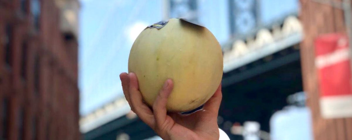 Zerbinati-Natoora-melone-New-York-2020