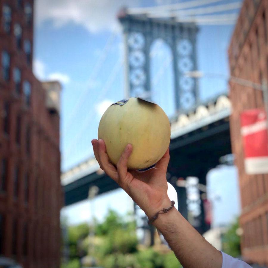 Zerbinati-melone-ponte-New-York-2020