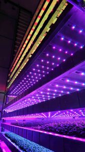 vertical farm