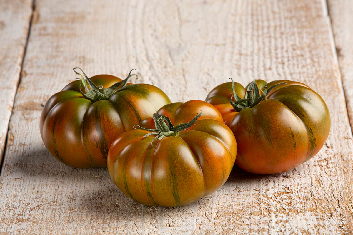 Gandini-pomodori-costoluto-2020