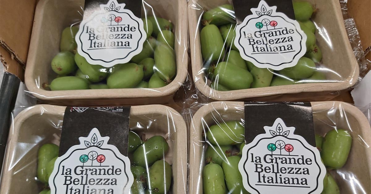 La Grande Bellezza Italiana